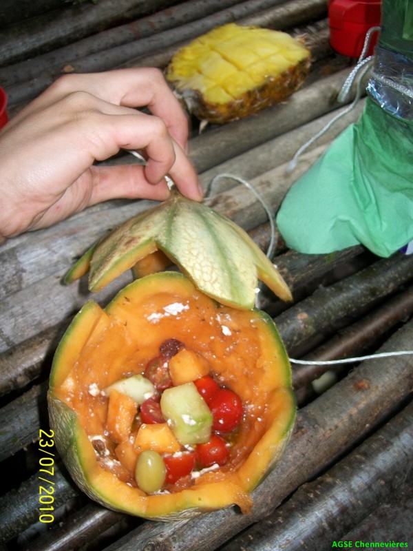 cg2010 200