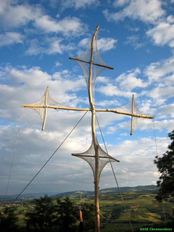 cg2010 253