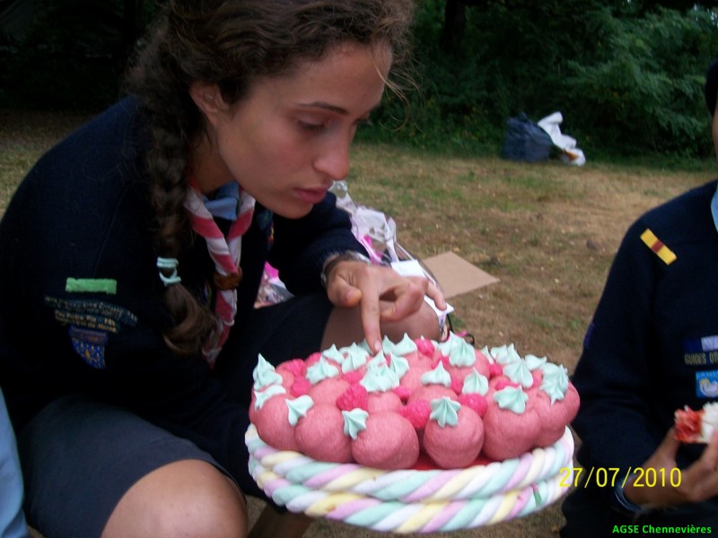 cg2010 270